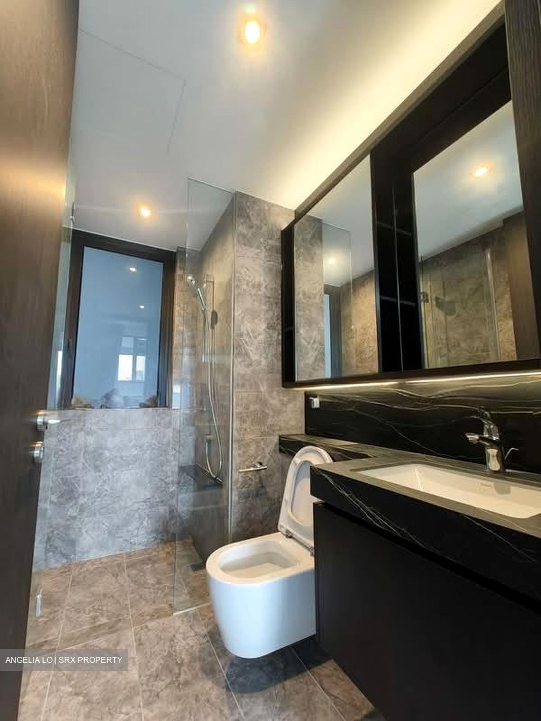 Hyll On Holland (D10), Condominium #591410991